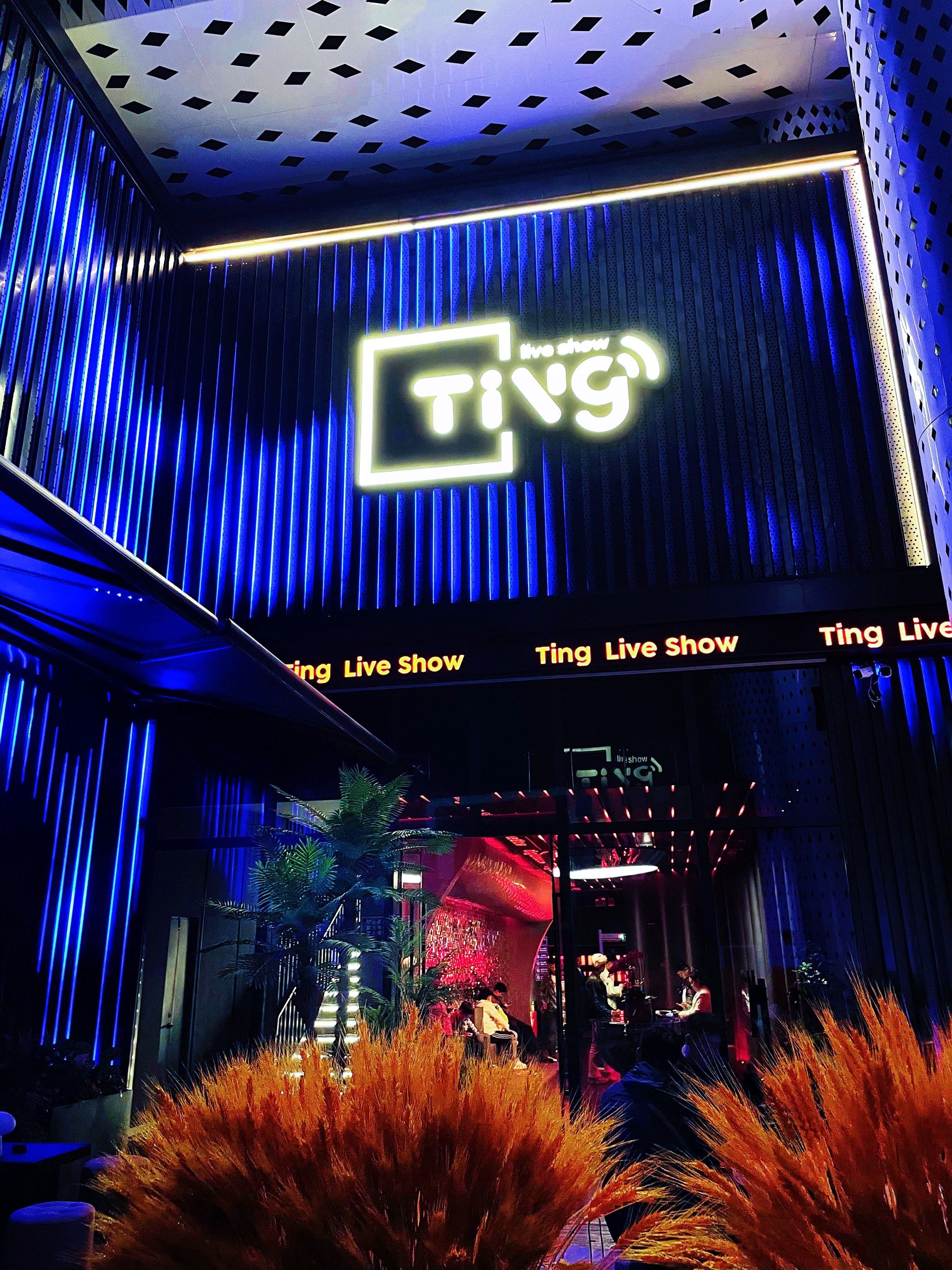 重庆商务ktv新模式-巫溪县ktv预定